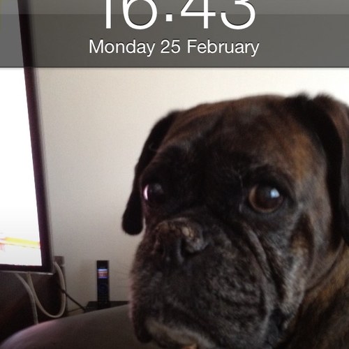 katiescoot15's profile picture. 