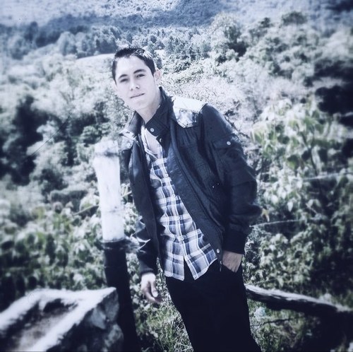 roman519's profile picture. ....