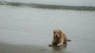 DizVega's profile picture. Arquitecta uba,ex docente UBA,Ex jefa de Obra de Madres de Plaza de Mayo,docente en la Univ.de Avellaneda,Ex jefa de obra de Procrear