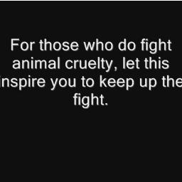 SupportAnimal's profile picture. I am strongly against animal cruelty and I try to receive money for charities. If you want to support me contact me: StopAnimalCruelty@hotmail.nl

Thanks.