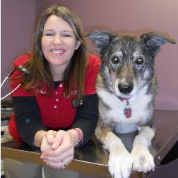 Providing comprehensive care for your pets in the Cedar Valley