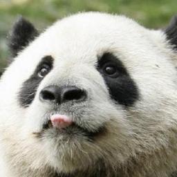 IsUrBrainON's profile picture. Backup accnt for @whatsurbain4