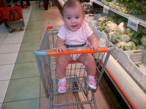 Ing.mecatronico
