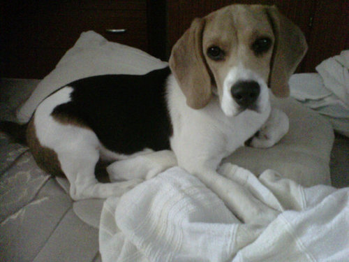 MARIABELJ's profile picture. 