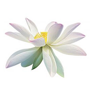 VIPmediSPAuk's profile picture. We are delighted to introduce our new premium service menu - supreme quality of advanced treatments delivered in the privacy and comfort of your home or hotel.