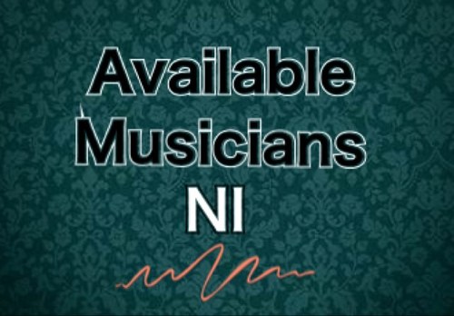 am_ni1's profile picture. Tweet us what muscian you require and we shall retweet it. We are not an agency. We just spread the word like a musical Jesus #availablemusiciansNI