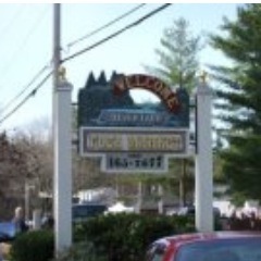 Over 20+ acres-1,000+ shoppers-hundreds of parking spaces-full concession stands-approximately 400 vendor spaces. Best thing to do in New Hampshire on Sundays!