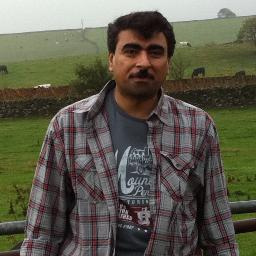 PhD., knows Arabic & English