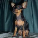 ana marcano - @annamarcano - Twitter