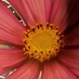 Margreth GrootRouwen (@margrethgr) Twitter profile photo