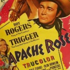 davidgz_roy's profile picture. 