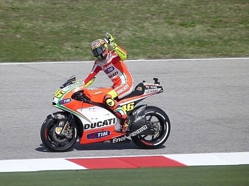 animal4646's profile picture. 