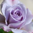 Monica Aguilar bande (@1974monica23) Twitter