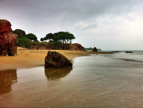 FoodCommonsATL's profile picture. 