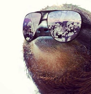 The Swag Sloth