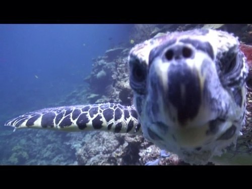 scotty14wallace's profile picture. 