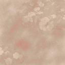 Donna Symonds - @leelow18 - Twitter