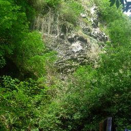 Kat10101's profile picture. 