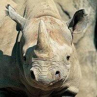 AAZV Student Programs (@aazveducation) 's Twitter Profile