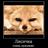 sly__fox's profile image