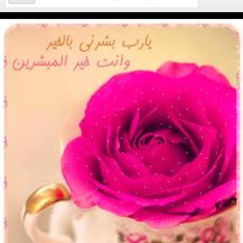 يملئنيّ شُعوَر بِالرآحُةِ حِيُن أُرَدِدُ : ” آلحمّد للّه “
