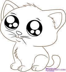 The little kitten
Just here to know how you´re doing!