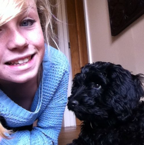 thisislaurenn's profile picture. 