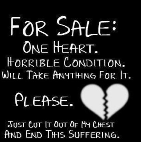 mattphoran's profile picture. Hi. I go to handley. I love one direction and im gay... AND F'N HAPPY BOUT THAT!!!