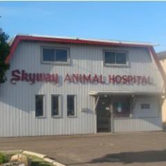 Welcome to Skyway Animal Hospital
Your Veterinarian in St.Catharines, ON
Call us at 905-688-3301