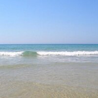 Respect Our Seas (@respectourseas) 's Twitter Profile