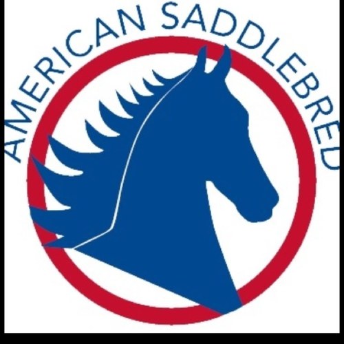 saddleseatprob4's profile picture. 