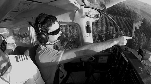 WayneSFC's profile picture. 