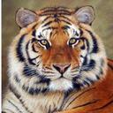 Hillary Zhang - @HillaryZH555 - Twitter