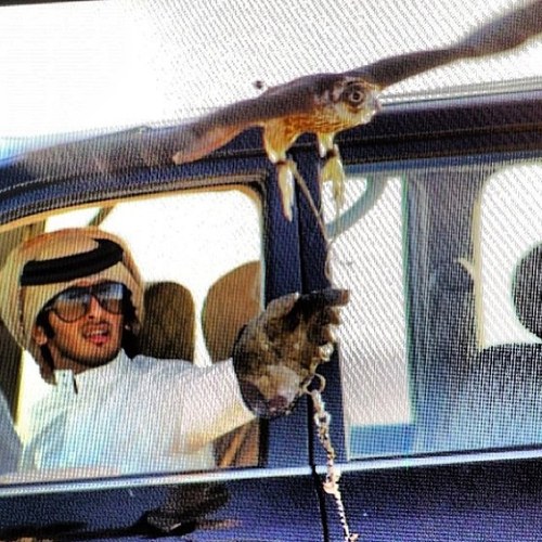 معشووقتـي » 3Sooola ♥ @banota_3soola !'