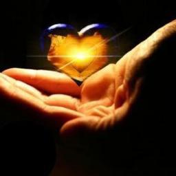 alifalaky's profile picture. 