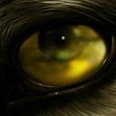 thomas carlsen - @foxi1980 - Twitter