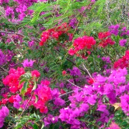 TaylorPennelli's profile picture. 