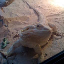 macca123us's profile picture. 