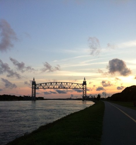 jcalla05's profile picture. Cat Mom , Volunteer “no kill" cat shelter. Retired nurse. Mastodon, Oreosparky@mas.to    Post: @oreosparky