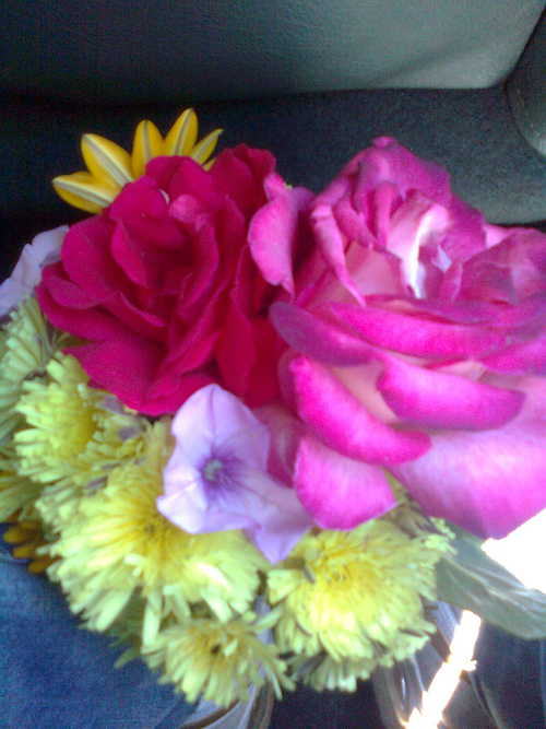 Barnakit's profile picture. Literary and social media writer.