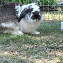 Trisha Allen - @TrishaAllen1976 - Twitter