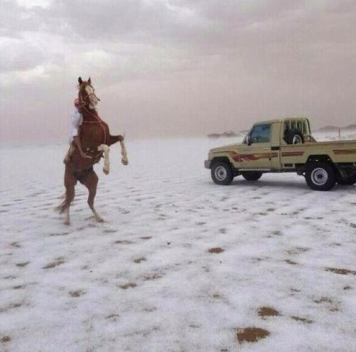 أحترم كل شيء يستحق الأحترام, وأمقت كل شيء يستحق المقت. اقراء أكثر مما أكتب، وأسمع أكثر مما أتكلم! المملكة العربية السعودية