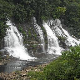 Tnnana5's profile picture. 