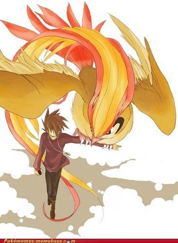 Pidgeoak's profile picture. Curious bird