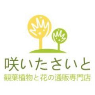 咲いたさいと Saitasaito Twitter