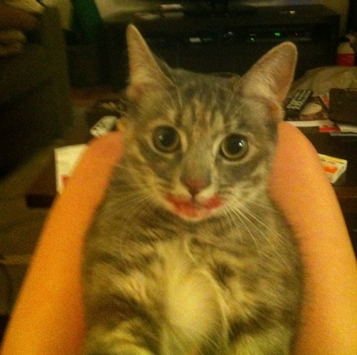 Amyhyphen's profile picture. 