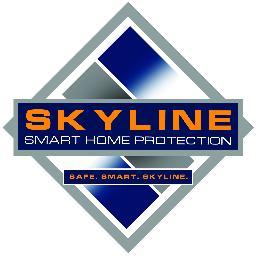 BuildSkyline's profile picture. 
