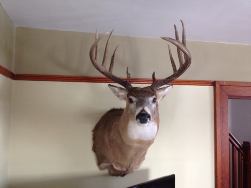 Traviscornwall's profile picture. 