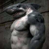 thrashshark (@thrashshark) 's Twitter Profile Photo thrashshark (@thrashshark) 's Twitter Profile Photo