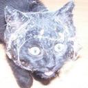 Simon Wiggins - @simonrw81 - Twitter